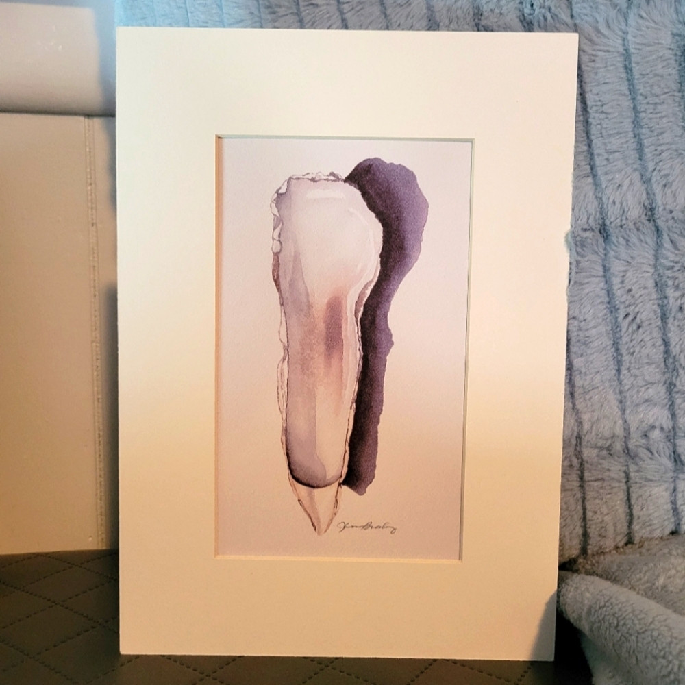 Oyster Shell, Seashell, Fine Art Print w/ Mat